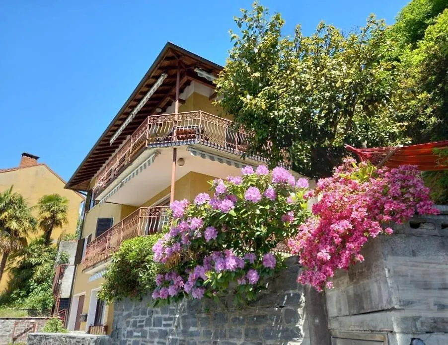 Holiday home Casa Camelie Villa Pino Lago Maggiore Italy