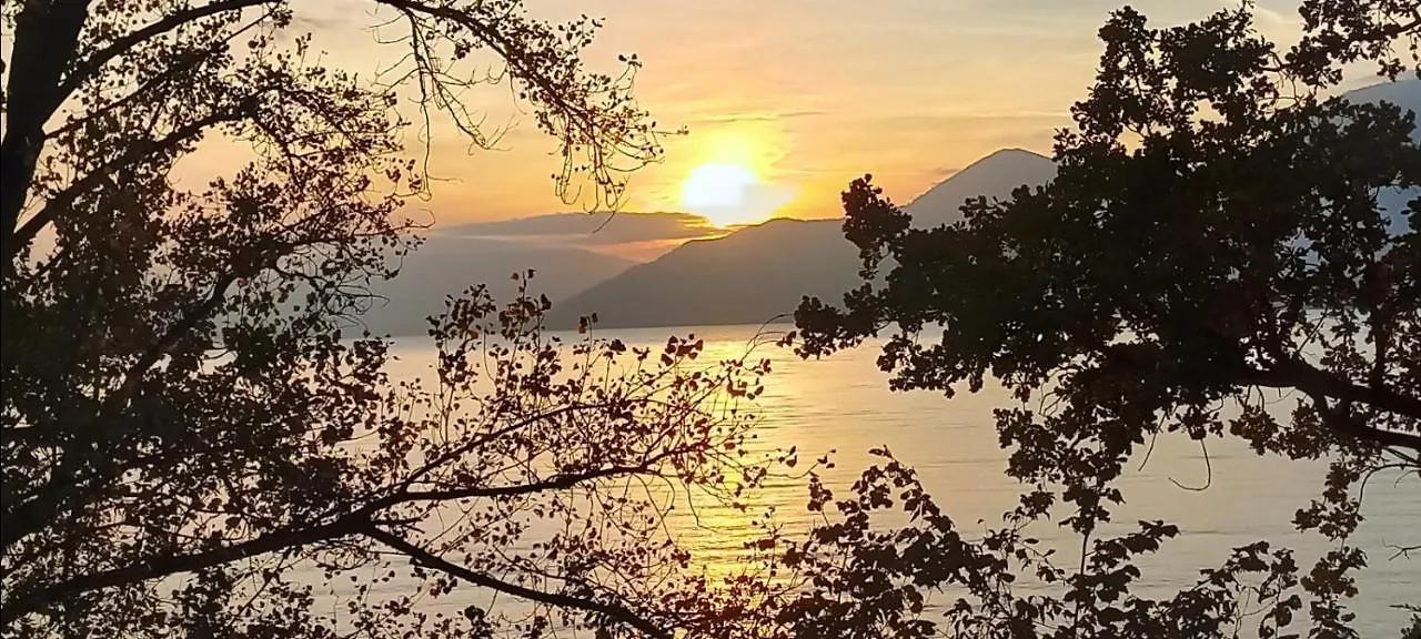 Casa Camelie Villa Pino Lago Maggiore