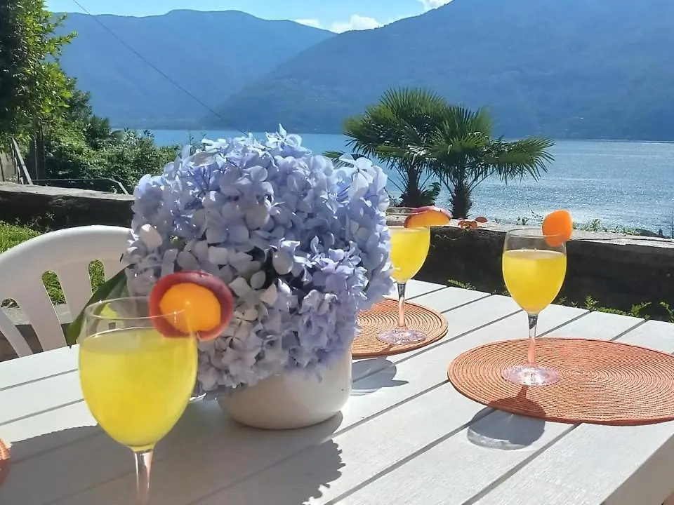 Casa Camelie Villa Pino Lago Maggiore Holiday home