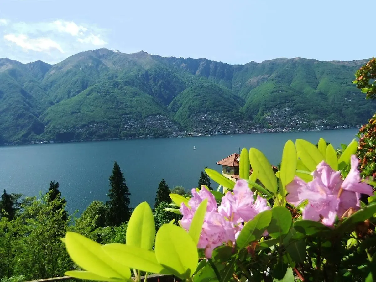 Casa Camelie Villa Pino Lago Maggiore