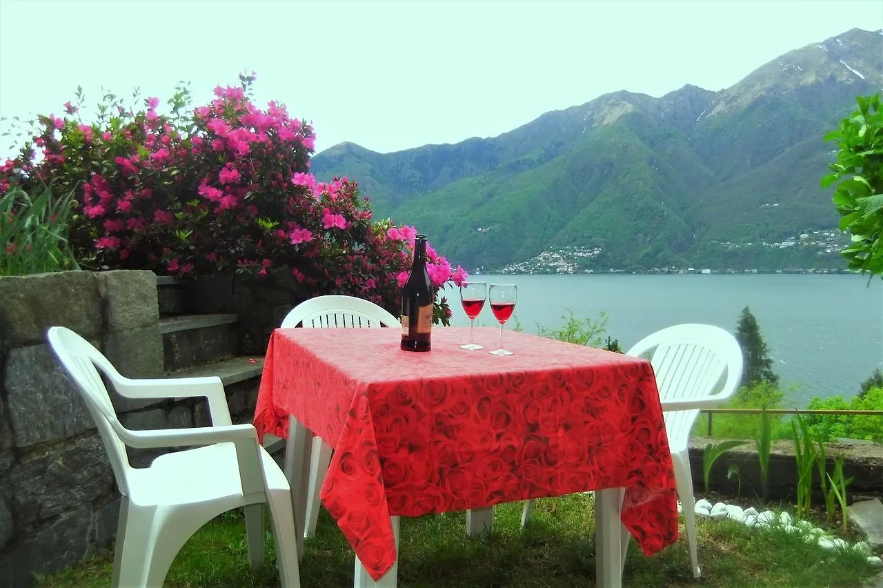 Casa Camelie Villa Pino Lago Maggiore