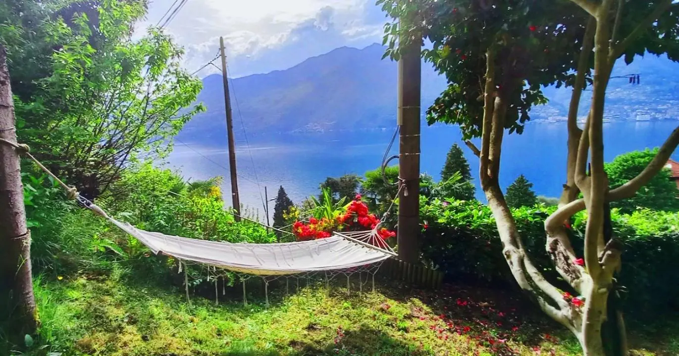 הוילה Pino Lago Maggiore Casa Camelie בית נופש