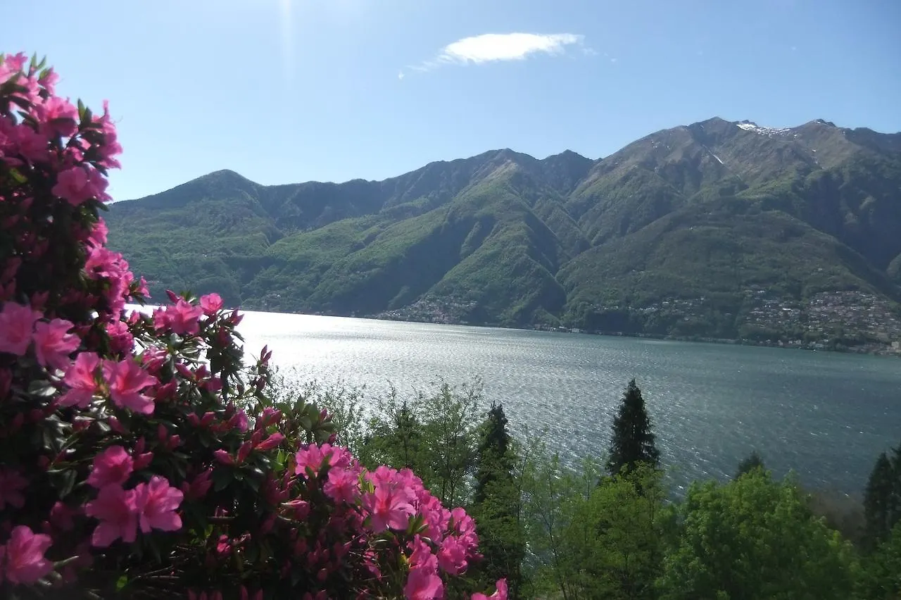 הוילה Pino Lago Maggiore Casa Camelie בית נופש